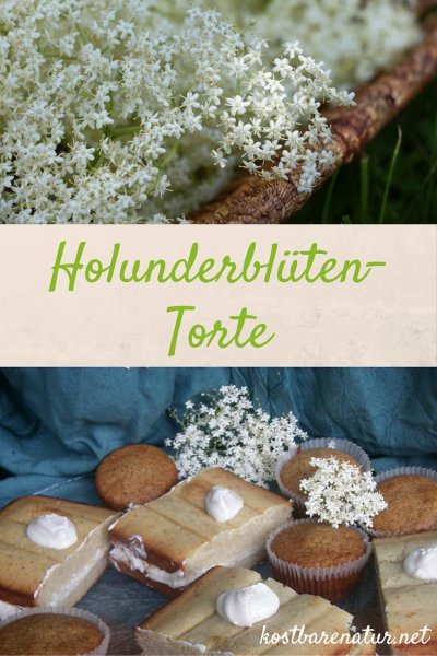 Die aromatischen Blüten des Holunders kannst du nicht nur für Sekt und Sirup nutzen, sie sind auch eine Wunderbare Backzutat, z.B. für diese Holundertorte!