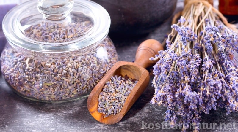 Lavendel sieht nicht nur schön aus und riecht angenehm. In einem Tee oder einer selbstgemachten Teemischung kannst du seine heilsamen Kräfte nutzen.