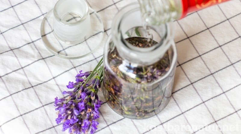 Die lila Blüten des Lavendels mit ihrem intensiven Duft riechen nicht nur gut, sondern können, zum Beispiel als heilsame Tinktur, auch für die Gesundheit genutzt werden.