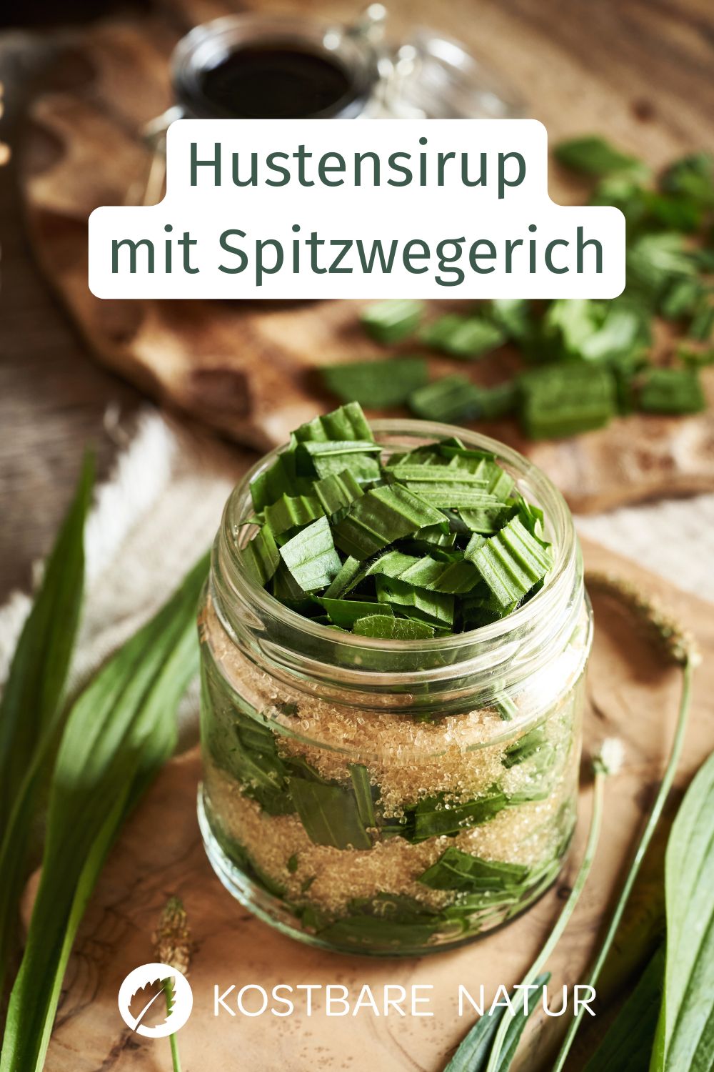 Der Spitzwegerich ist ein altbekanntes Mittel bei Bronchitis. Finde heraus, wie du einen Hustensirup mit Spitzwegerich herstellst.