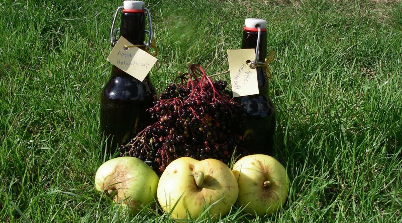 Saft aus Holunder ist gesund, lecker und die Früchte sind kostenlos an vielen Wegen zu ernten. Mische Äpfel alter Sorten dazu und es wird richtig lecker!