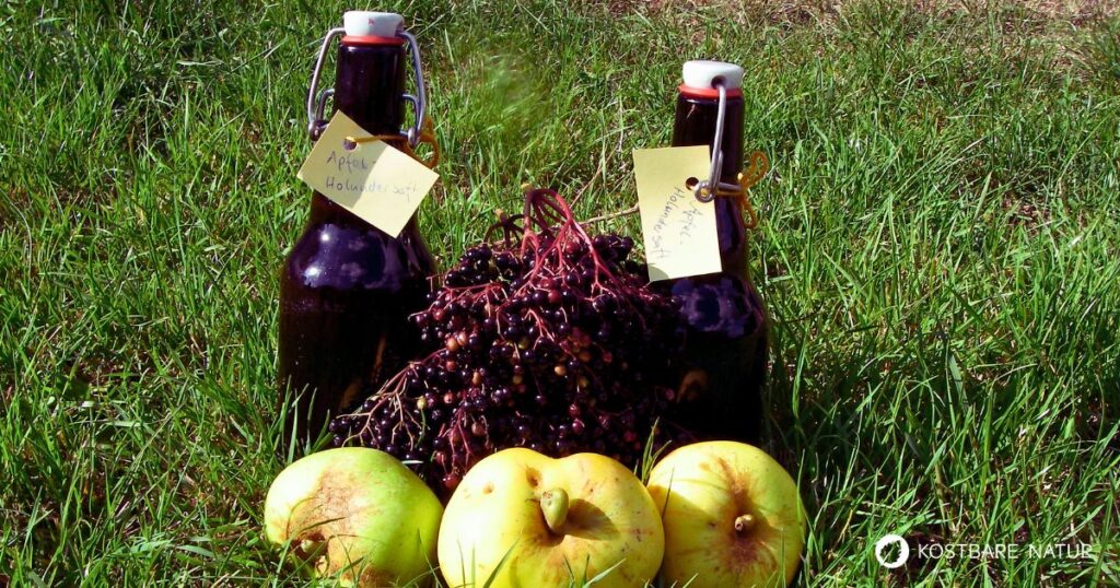 Saft aus Holunder ist gesund, lecker und die Früchte kannst du kostenlos ernten. Mit Äpfel wird daraus ein gesunder Apfel-Holunder-Saft.