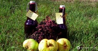 Saft aus Holunder ist gesund, lecker und die Früchte kannst du kostenlos ernten. Mit Äpfel wird daraus ein gesunder Apfel-Holunder-Saft.