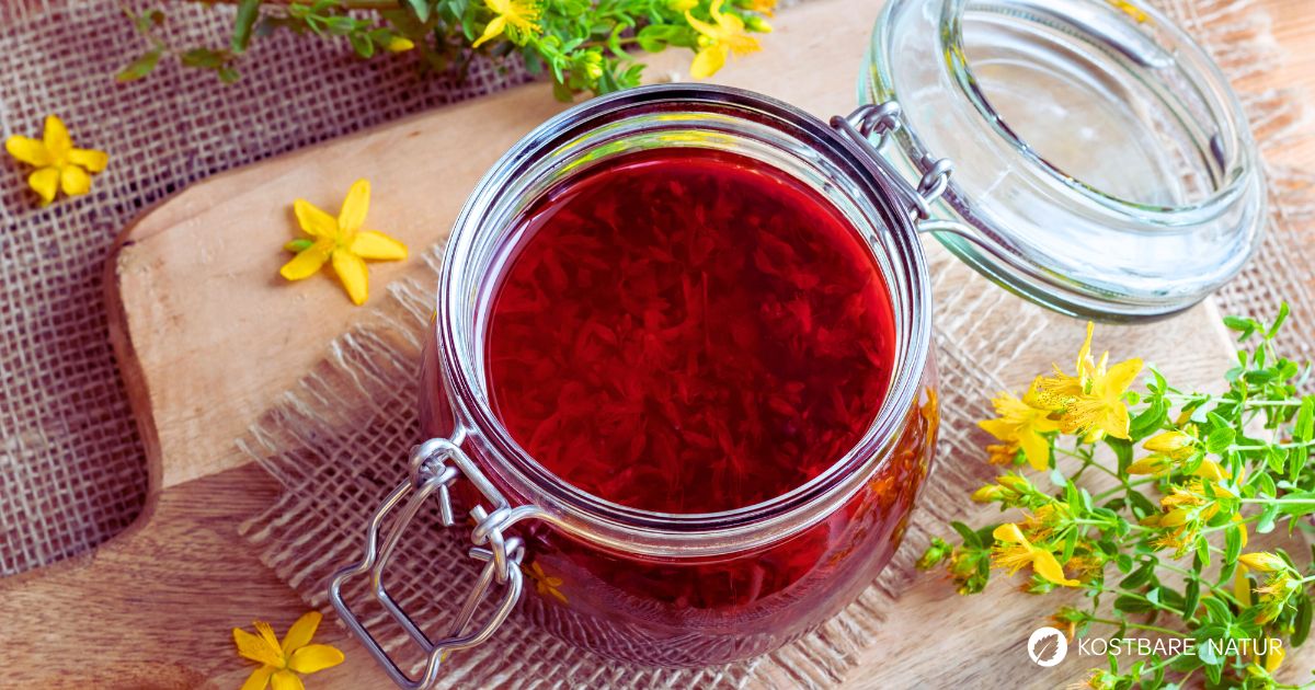 Johanniskrautöl hilft der Haut sich selbst zu heilen und macht sie durchlässiger für die Sonne an dunklen Tagen. Erfahre, wie du das Öl selbst herstellst!