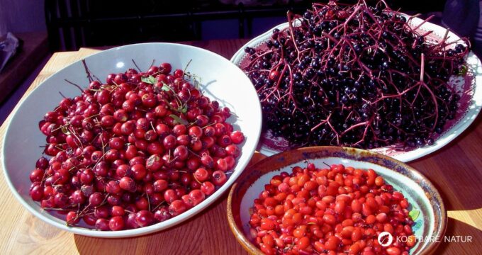 Im Herbst findet man an vielen Sträuchern schmackhafte Beeren. Aus drei besonders vitaminreichen habe ich ein Vitamin-C-Gelee hergestellt.