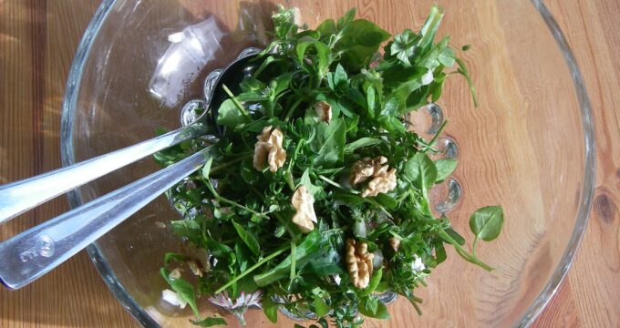 Es wird kälter und der Körper wird anfälliger für Krankheiten. Mit diesen Kräutern zauberst du einen gesunden Salat voll mit Vitaminen und Mineralstoffen!