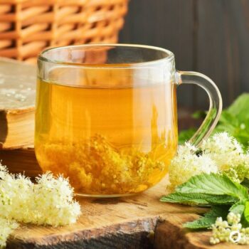 Der Duft des Mädesüß vermittelt Lebensfreude, es eignet sich zum Aromatisieren von Speisen und hilft bei Kopfschmerzen.