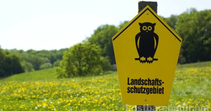 Beim Sammeln von Wildpflanzen ist es wichtig bedrohte Pflanzen zu schonen. Was du beachten solltest, und welche Pflanzen geschützt sind erfährst du hier.