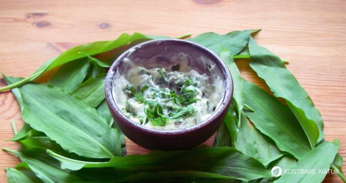 Bärlauch zählt zu den schmackhaftesten Wildpflanzen überhaupt und macht sich wunderbar in pflanzlichen Brotaufstrichen. 