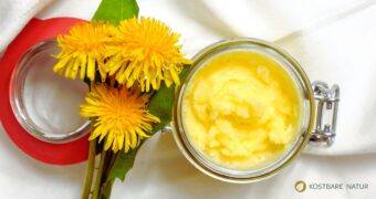 Die Blüten des Löwenzahns sind unverkennbar und jedem Naturfreund geht das Herz auf bei ihrem Anblick. Nutze ihre Kraft mit diesem einfachen Creme-Rezept.