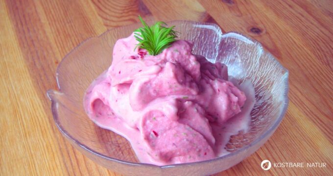 In diesem Beitrag zeige ich dir, wie du ohne Eismaschine schnell und einfach Eiscreme mit Tannen- und Fichtenwipfeln herstellst.