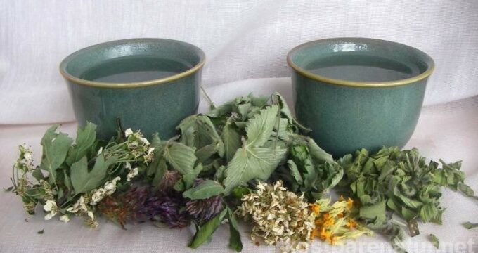 Nicht jeder Tee muss ein Heiltee sein. Ein Haustee ist eine Kräuterteemischung für alle Gelegenheiten, einfach zum Genießen.