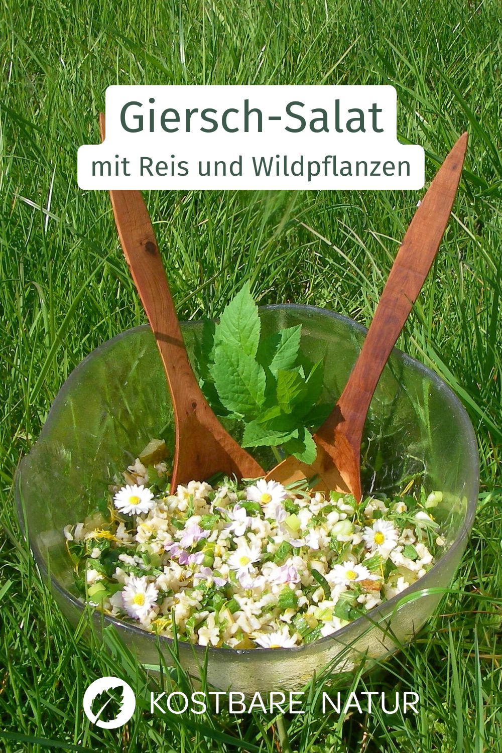 Willst du deinen Freunden Wildkräuter etwas näher bringen? Mit diesem köstlichen Salat zeigst du ihnen die Vorzüge von Giersch, Schafgarbe und vielen mehr!