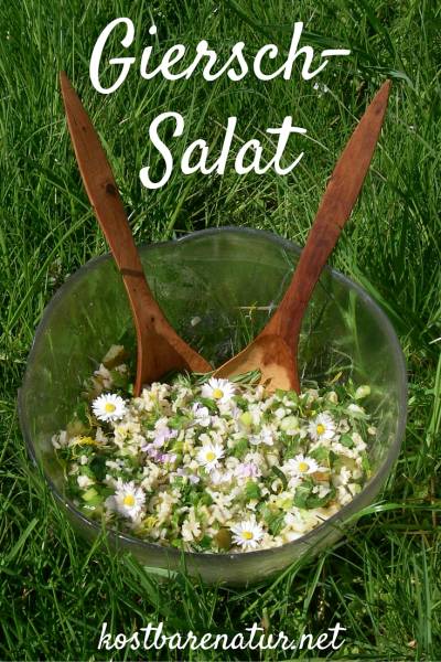 Willst du deinen Freunden Wildkräuter etwas näher bringen? Mit diesem köstlichen Salat zeigst du ihnen die Vorzüge von Giersch, Schafgarbe und vielen mehr!