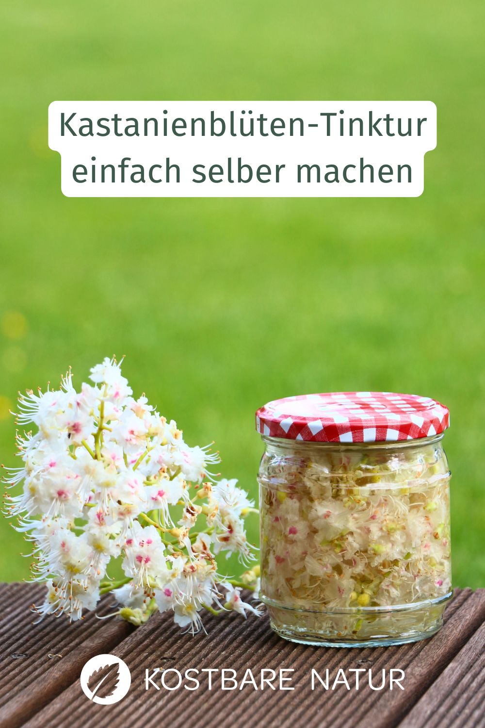 Die Blüte der Kastanie ist im Frühjahr ein Augenschmaus! Wusstest du aber, dass die Blüten wertvolle Wirkstoffe, z.B. gegen Krampfadern beinhalten?