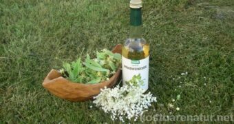 Ein Blütenessig mit Linden- und Holunderblüten bringt Frische in die Salatsauce und ist unglaublich gesund!