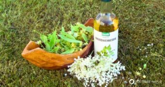 Ein Blütenessig mit Linden- und Holunderblüten bringt Frische in die Salatsauce und ist unglaublich gesund!