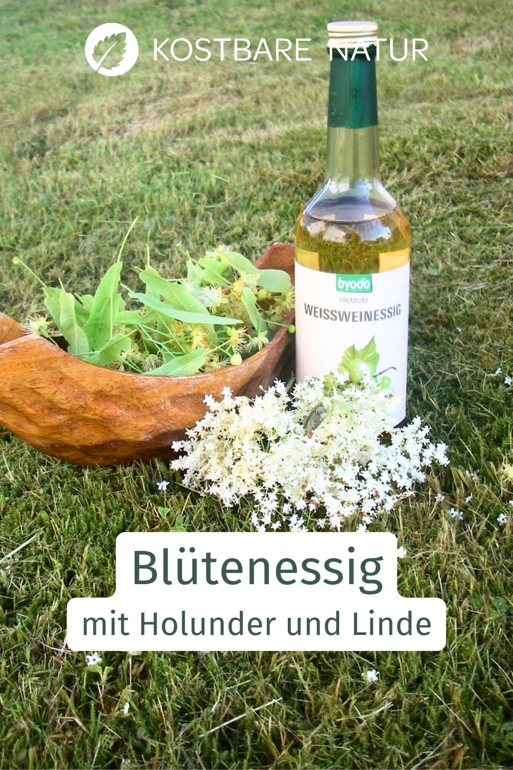 Ein Blütenessig mit Linden- und Holunderblüten bringt Frische in die Salatsauce und ist unglaublich gesund!