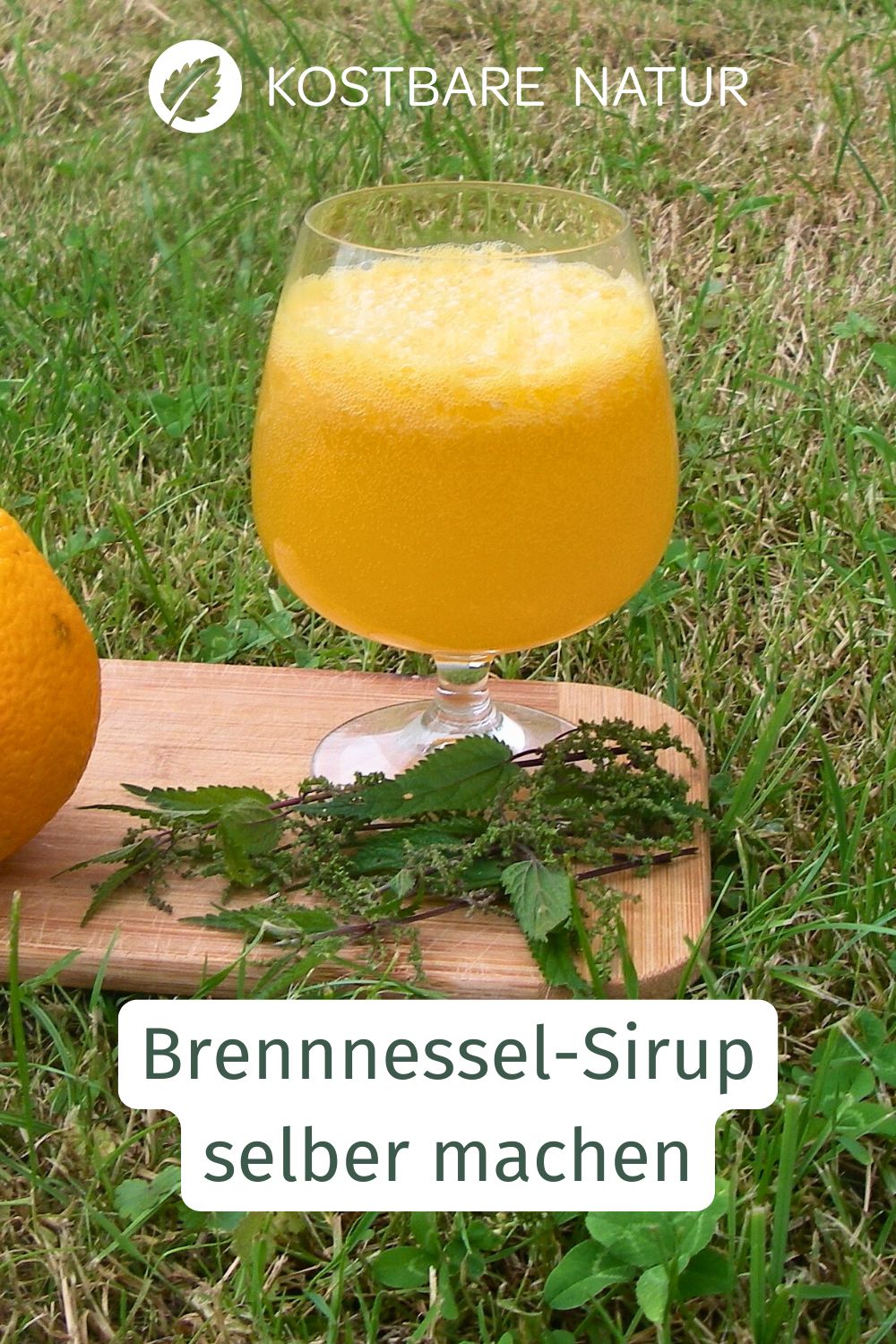 Auch wenn die Blüten der Brennnessel unscheinbar sind, können sie gesund sein. Hier ein Rezept für köstlichen Brennnesselsirup!