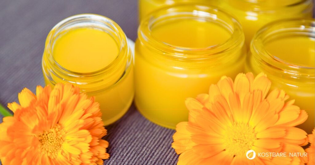 Eine Salbe mit Ringelblumen ist eines der besten Heilmittel für Verletzungen, Entzündungen und andere Hautprobleme. So stellst du sie her.