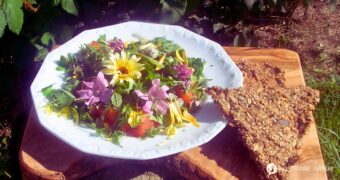 Dieser Salat mit wilden Kräutern und Blüten ist ein Schmaus für Gaumen und Augen.