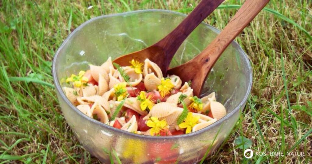 Schafgarbe ist weit verbreitet und ihre Blätter sind lecker und gesund. Gute Gründe einen Nudelsalat mit Schafgarbe zu probieren!
