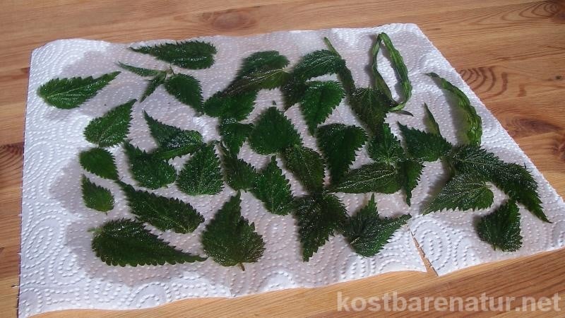 Diese gesunden und schmackhaften Snacks aus Brennnesseln, Spitzwegerich und anderen Wildkräutern sind die perfekte Alternative zu Kartoffelchips.