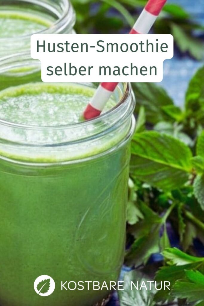 Die Erkältung ist im Anmarsch und du hast keine Lust auf klassischen Hausmittel? Dann probiere diesen Wildkräuter-Smoothie gegen Husten & Co