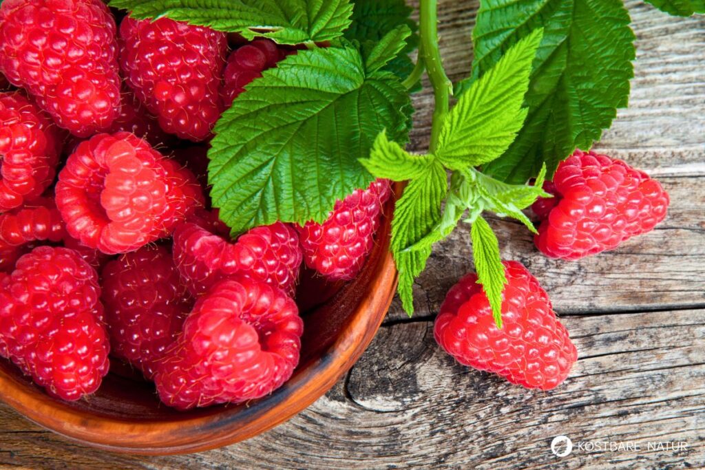 Die süßen Himbeeren sind köstlich und schnell verzehrt. Wusstest du aber auch, dass ihr Früchte und Blätter sehr wertvoll und heilsam sind?