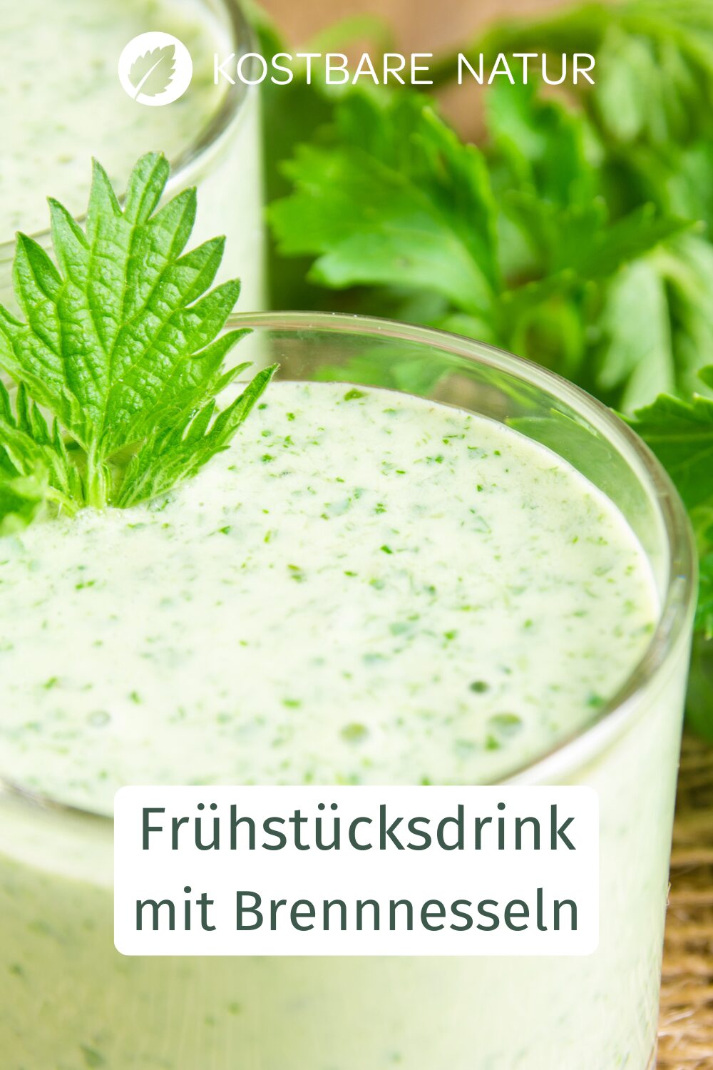 Meine gesunde Alternative zum Kaffee - der Energie-Drink aus der Natur!