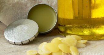 So einfach stellst du einen natürlichen und wirklich pflegenden Lippenbalsam mit den Schätzen der Natur her!