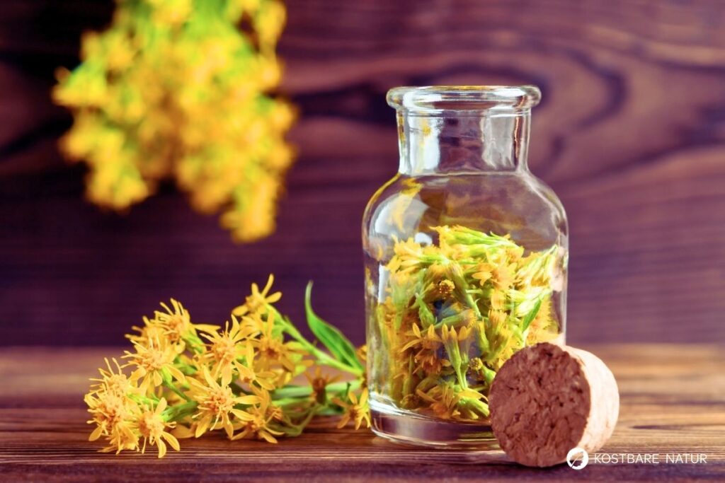 Goldruten Sirup ist eine einfache Möglichkeit, die honigartigen Blüten haltbar zu machen. Der Sirup schmeckt mild süß und leicht blumig. Du kannst ihn für Desserts, Getränke oder einfach als besondere Zutat im Alltag nutzen.