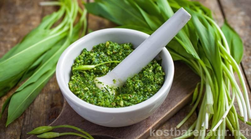 Bärlauch ist eine unserer liebsten Wildpflanzen. Mit diesem Rezept verwandelst du die Blätter in leckeres Pesto und kannst sie das ganze Jahr über nutzen.