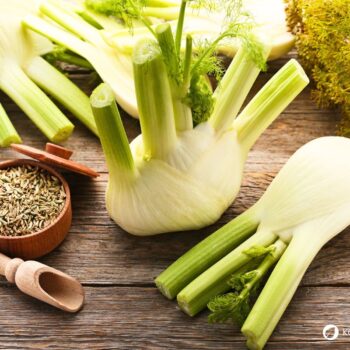Der Fenchel wird in der Küche und Naturmedizin genutzt. Besonders bei Magen-Darm-Beschwerden hilft er. Aber die Knolle kann noch mehr.