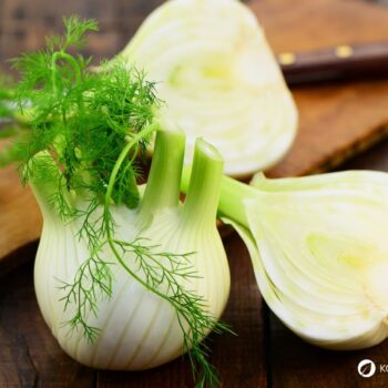 Der Fenchel wird in der Küche und Naturmedizin genutzt. Besonders bei Magen-Darm-Beschwerden hilft er. Aber die Knolle kann noch mehr.