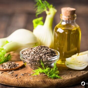 Der Fenchel wird in der Küche und Naturmedizin genutzt. Besonders bei Magen-Darm-Beschwerden hilft er. Aber die Knolle kann noch mehr.