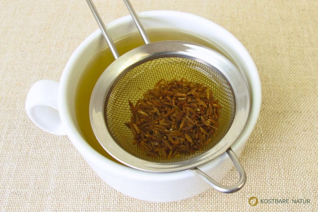 Kümmel ist nicht nur ein schmackhaftes Gewürz, bei vielen Speisen ist er dein bester Freund gegen Blähungen und andere Verdauungsprobleme.