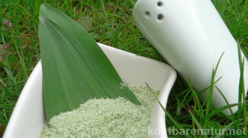 Bärlauch ist unglaublich lecker und gesund. Leider steht er uns nur wenige Wochen im Jahr zur Verfügung. So nutzt du den wilden Knoblauch das ganze Jahr!