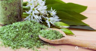 Bärlauchsalz-Rezept: Du brauchst 200 g Bärlauch, 1000 g Salz. Mit wenigen Handgriffen lässt sich das Bärlauch-Aroma im Würzsalz bewahren.