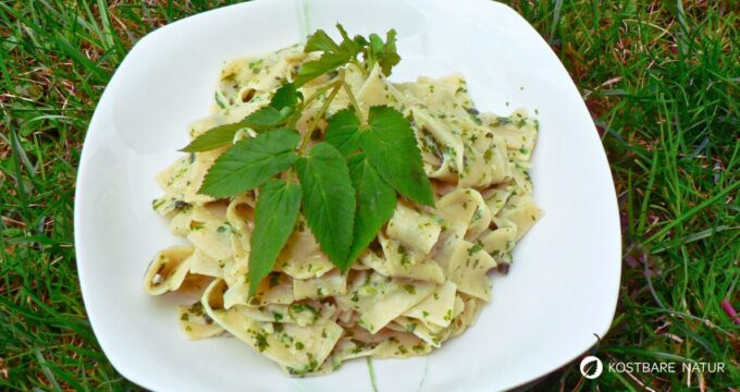 Gierschnudeln Rezept mit frischem Giersch. Schnell zubereitet, gesund und ideal für die Wildkräuterküche.