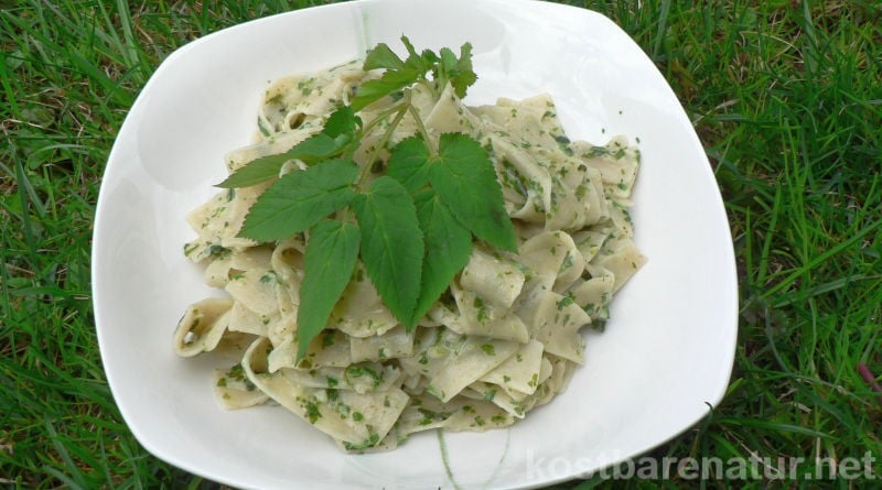 Iss den Giersch einfach auf! Mit diesem Rezept bereichert das “Unkraut” in ein gesundes und leckeres Gericht!