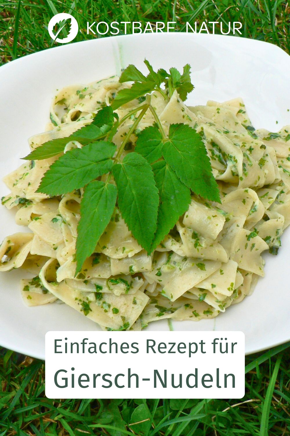Gierschnudeln Rezept mit frischem Giersch. Schnell zubereitet, gesund und ideal für die Wildkräuterküche.
