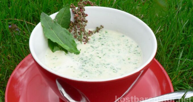 In Frankreich ist der Sauerampfer so beliebt, dass er angebaut wird. Das wilde Kraut kannst du auch bei uns leicht finden und für leckere Speisen nutzen.