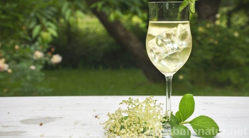Folosește puterea bătrânului pentru numeroase rețete și bucură-te de aroma dulce pe tot parcursul anului.