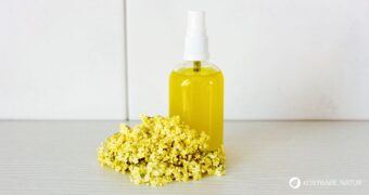 Aus natürlichen Zutaten wie Holunderblüten kannst du dir schnell und einfach ein wohlriechendes und gesundes Deo selber machen.