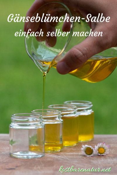 Aus einfachen Zutaten ist die heilende Gänseblümchensalbe ganz schnell hergestellt und erspart dir den Kauf teurer Wund- und Heilsalben.