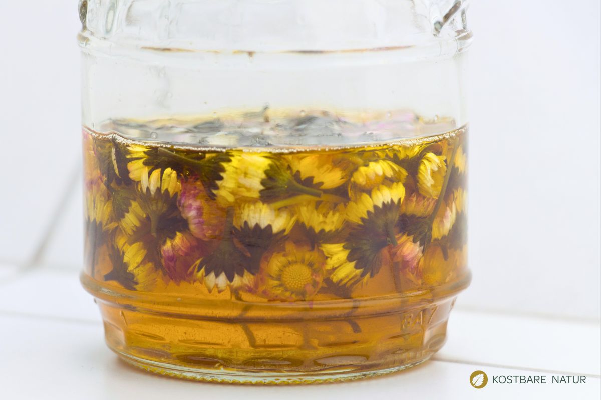 Gänseblümchen in Öl