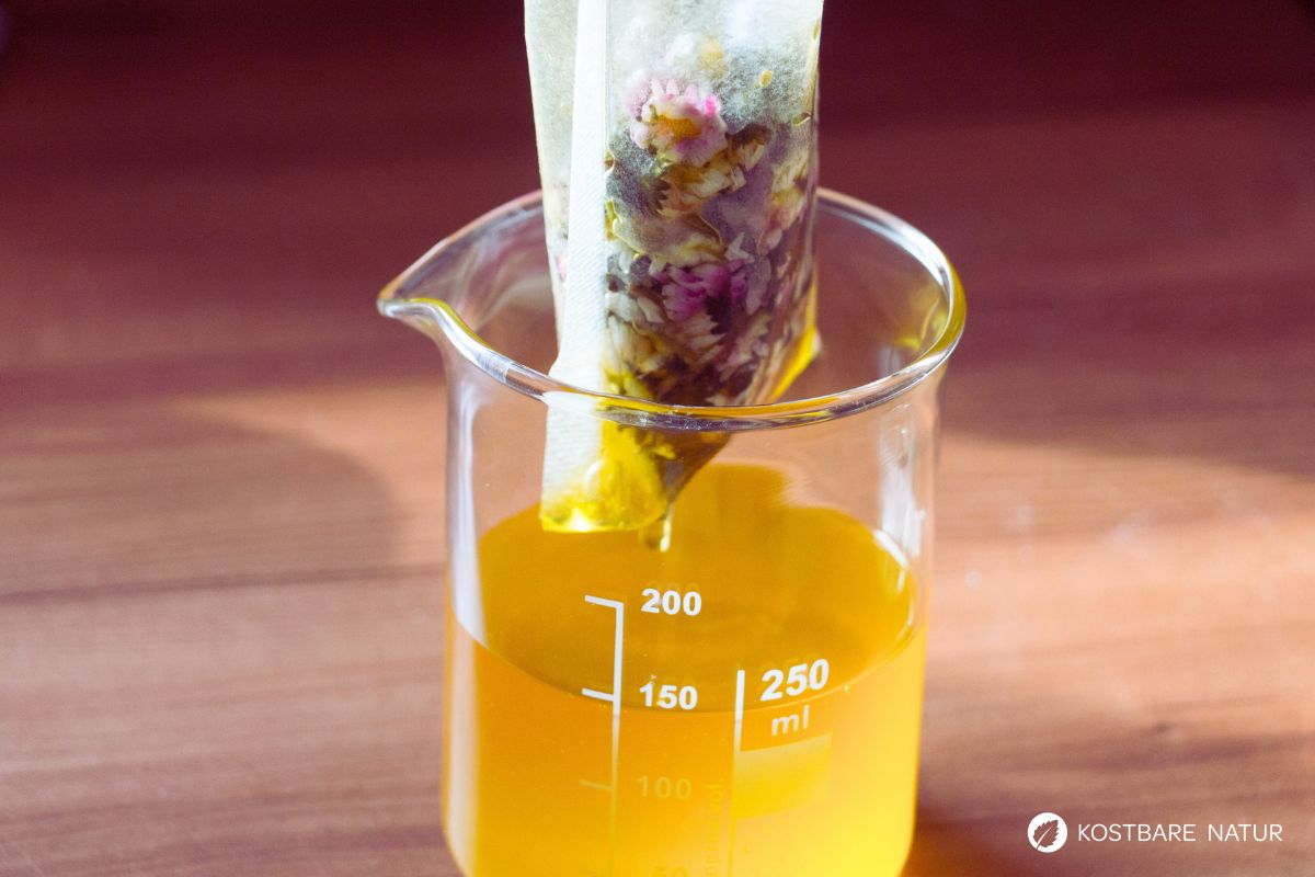 Gänseblümchenöl abseihen