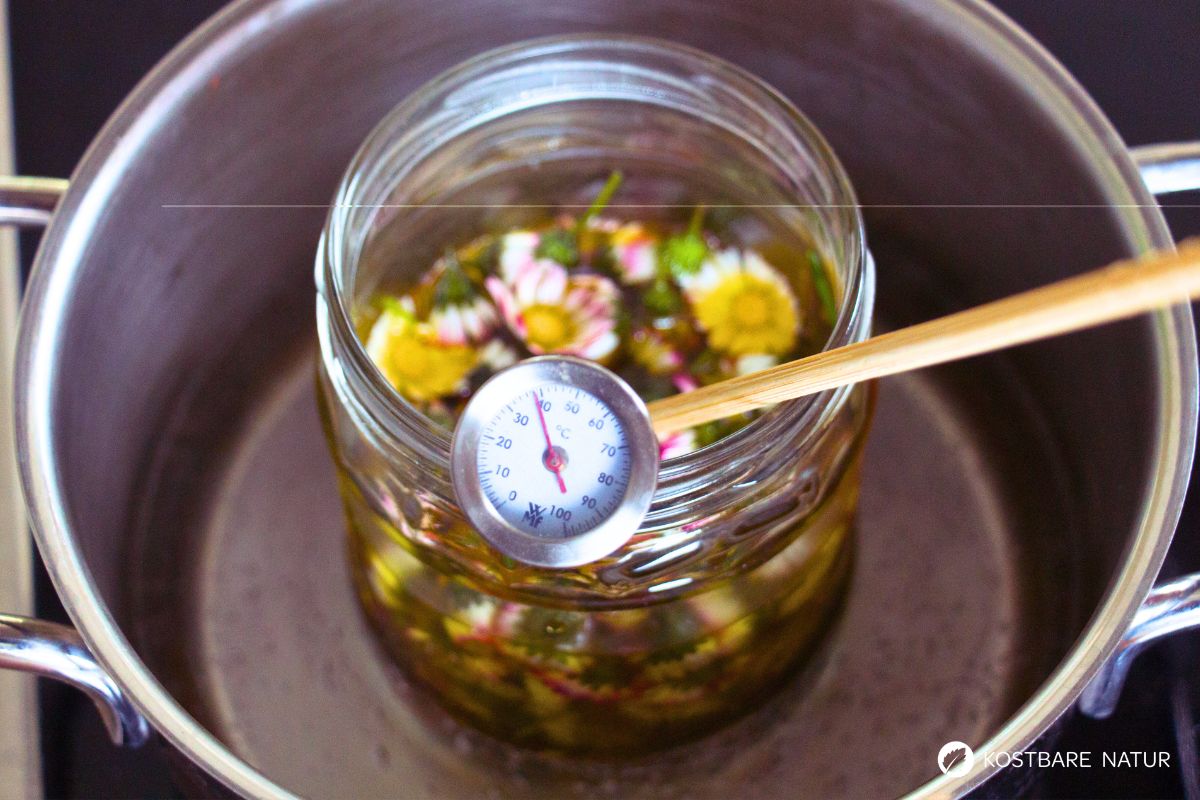 Gänseblümchenöl im Wasserbad erhitzen