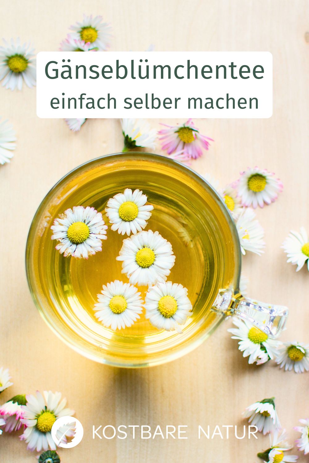 Jeder kennt es und jeder liebt es! Das kleine Gänseblümchen wächst das ganze Jahr über auf fast jeder Wiese und weckt aufgebrüht als Tee wahre Superkräfte.